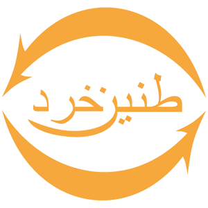 طنین خرد
